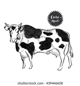 cow sketch