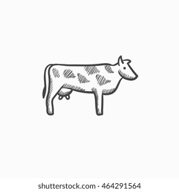 Cow sketch icon for web, mobile and infographics. Hand drawn cow icon. Cow vector icon. Cow icon isolated on white background.