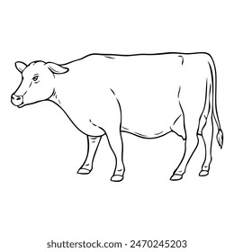 cow sketch vector illustration,isolated on white background,top view