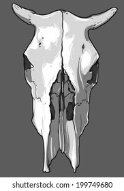 cow skull 