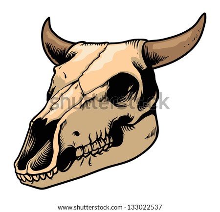 Cow Skull Stock Vector (Royalty Free) 133022537 - Shutterstock