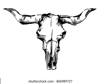 cow skull, boho style, sketch, beautiful vector illustration