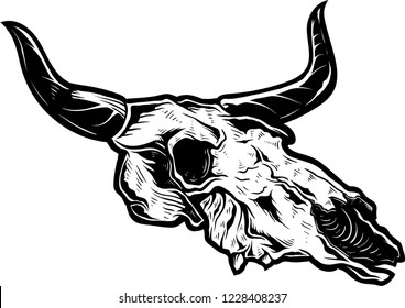 cow skull hand drawing vector