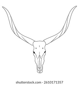 Cow skull line art vector design.  Cow skull outline illustration design.