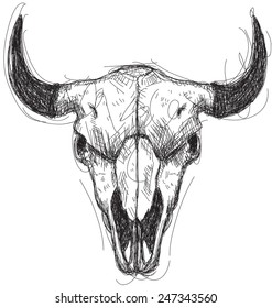 Cow skull sketch