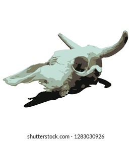 Cow skull Vector isolated illustration. India. The shade of gray. Cowboys. Wild West. Halloween.