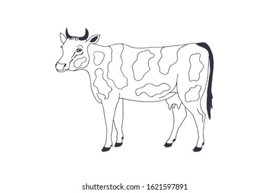 cow with spots. eps 10 vector stock illustration. hand drawing. out line