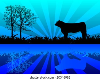 cow standing in field