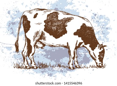 Cow standing hand drawn, sketch style - Vector illustration. Farm animal and grass on the pasture