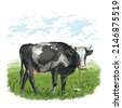cattle sketch
