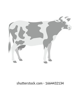 Cow standing, view profile. Farm animal, beef, milk white background isolated