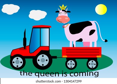 cow in the tractor trailer. funny cow in the tractor for t-shirt print and other uses