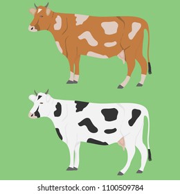 A cow, two cows on a green background. Flat design, vector illustration, vector.