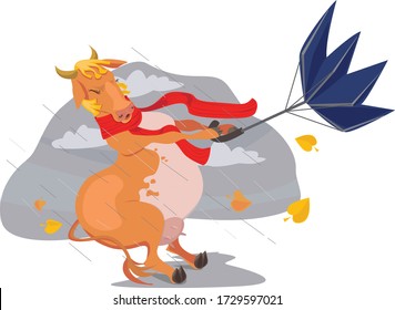 The Cow with umbrella in the strong wind. An umbrella twisted from a strong wind. Chinese calendar year bull vector illustration. 