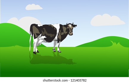 cow vector