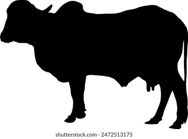 cow vector art illustration design.