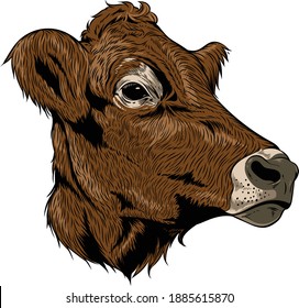 Cow Vector Art Line Sketch