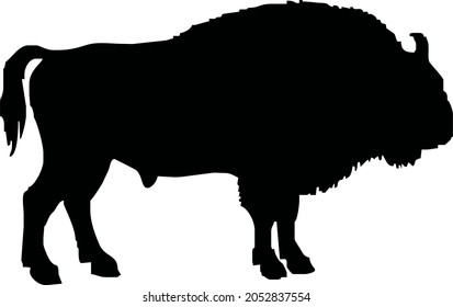 cow in vector art style