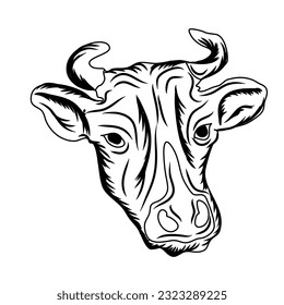 Cow vector draw by hands, cow head vectors
