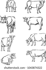 Cow, vector, farm, design, black, collection, animal, white, livestock, icon, background, logo, set, symbol, sign, isolated, horned, agricultural, illustration