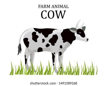 Cow vector flat style. Farm animal icon template