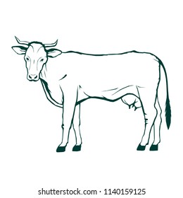 cow, vector graphic, logo, art illustration, isolated, monogram