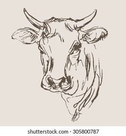  cow vector, hand draw sketch 