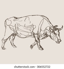cow vector, hand draw sketch