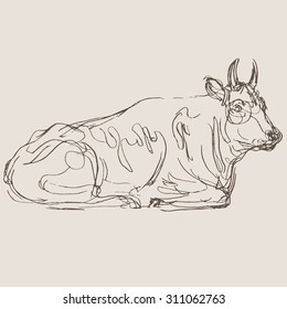 cow vector, hand draw sketch 