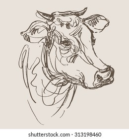 cow vector, hand draw sketch 
