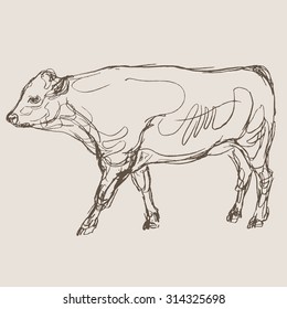 cow vector, hand draw sketch 