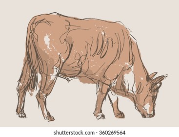  cow vector, hand draw sketch 