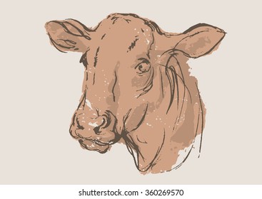 cow vector, hand draw sketch 