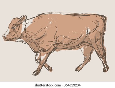 cow vector, hand draw sketch