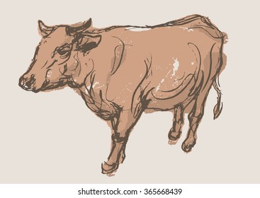 cow vector, hand draw sketch 