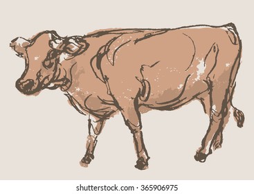 cow vector, hand draw sketch 