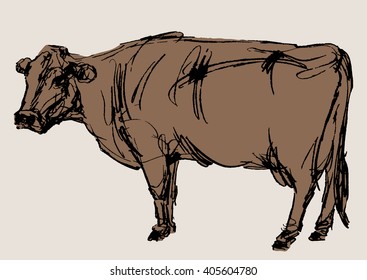 cow vector, hand draw sketch 