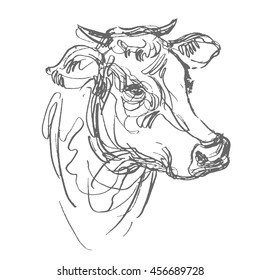 cow vector, hand draw sketch