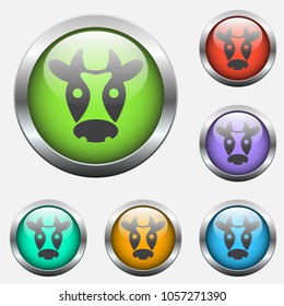 cow vector icon on color glass buttons