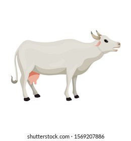 Cow vector icon.Cartoon vector icon isolated on white background cow.