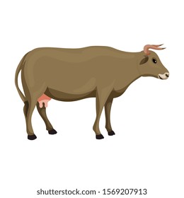 Cow vector icon.Cartoon vector icon isolated on white background cow.