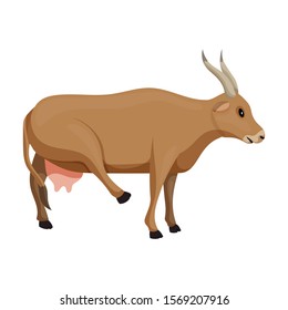 Cow vector icon.Cartoon vector icon isolated on white background cow.