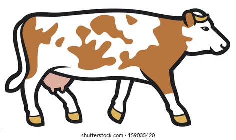 cow vector illustration