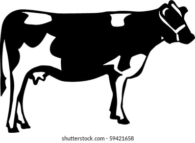 Cow Vector Illustration