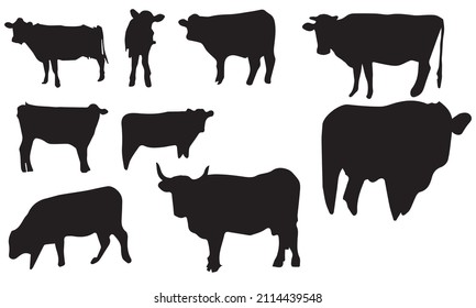 cow vector illustration design black and white collection