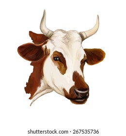 cow vector illustration  hand drawn  painted watercolor 