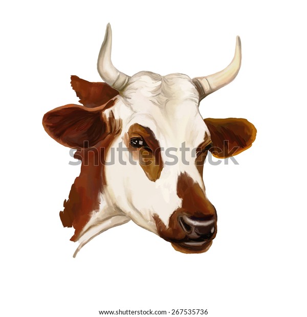 Cow Vector Illustration Hand Drawn Painted Stock Vector (Royalty Free ...