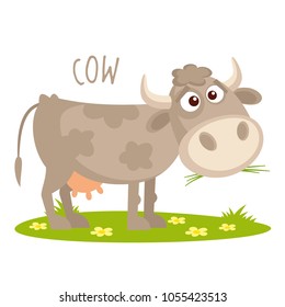 Cow Vector illustration isolated