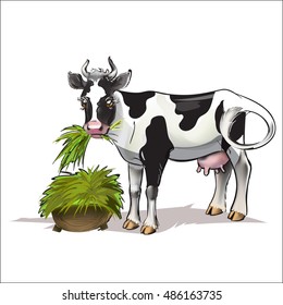 cow, vector isolated