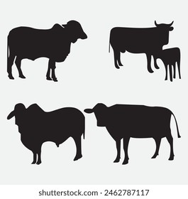 cow vector  isulated on white background